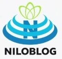 lily's  blog